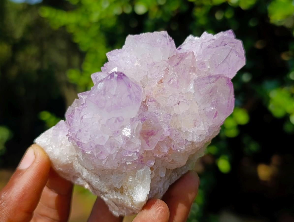 Natural Sunburst Spirit Amethyst Clusters x 6 From Boekenhouthoek, South Africa - Toprock Gemstones and Minerals 