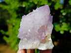 Natural Sunburst Spirit Amethyst Clusters x 6 From Boekenhouthoek, South Africa - Toprock Gemstones and Minerals 
