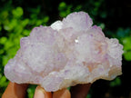 Natural Sunburst Spirit Amethyst Clusters x 6 From Boekenhouthoek, South Africa - Toprock Gemstones and Minerals 