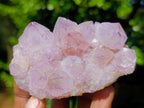 Natural Sunburst Spirit Amethyst Clusters x 6 From Boekenhouthoek, South Africa - Toprock Gemstones and Minerals 