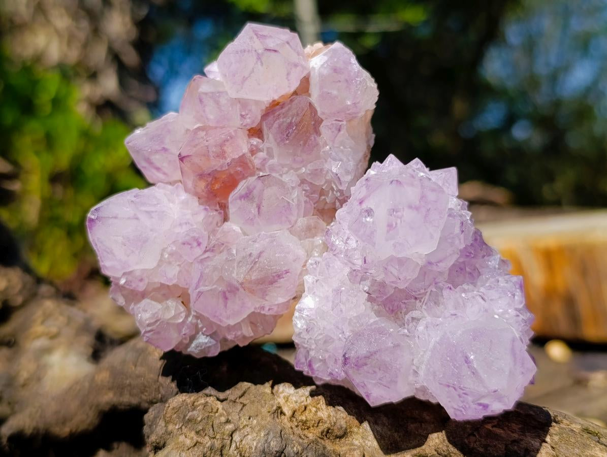 Natural Sunburst Spirit Amethyst Clusters x 6 From Boekenhouthoek, South Africa - Toprock Gemstones and Minerals 