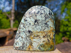 Polished African Turquoise Chrysocolla Standing Free Forms x 3 From South Africa - Toprock Gemstones and Minerals 