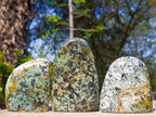 Polished African Turquoise Chrysocolla Standing Free Forms x 3 From South Africa - Toprock Gemstones and Minerals 