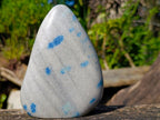 Polished Blue Spotted Spinel in Quartz Standing Display Pieces x 2 From Madagascar - Toprock Gemstones and Minerals 