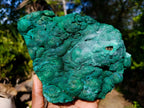 Natural Large Botryoidal Malachite Specimen x 1 From Congo - Toprock Gemstones and Minerals 