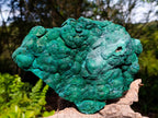 Natural Large Botryoidal Malachite Specimen x 1 From Congo - Toprock Gemstones and Minerals 