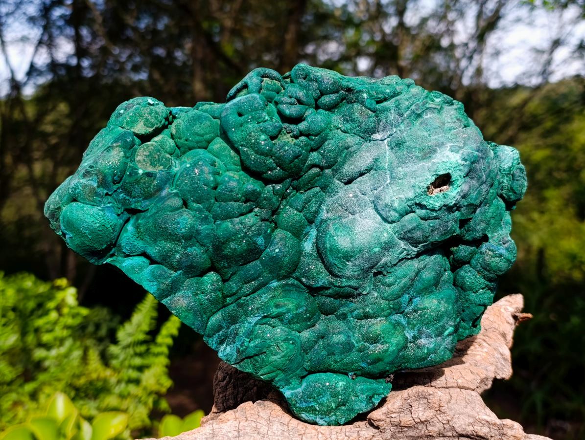 Natural Large Botryoidal Malachite Specimen x 1 From Congo - Toprock Gemstones and Minerals 