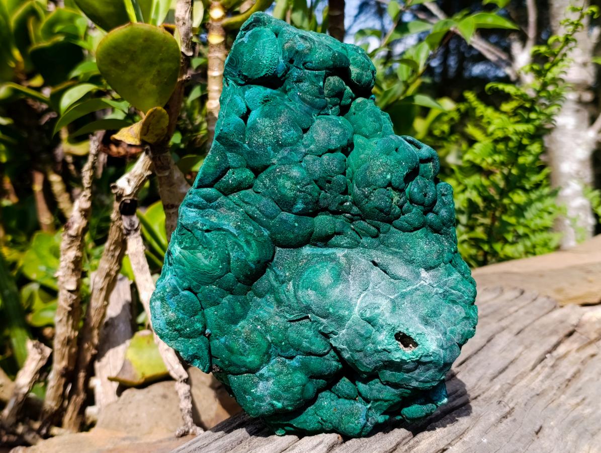 Natural Large Botryoidal Malachite Specimen x 1 From Congo - Toprock Gemstones and Minerals 