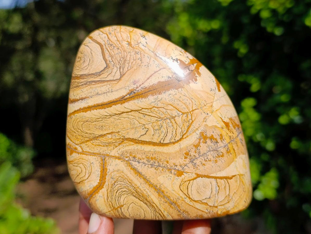 Polished Picture Stone Jasper Standing Display Pieces x 2 From Ais-Ais, Namibia - Toprock Gemstones and Minerals 