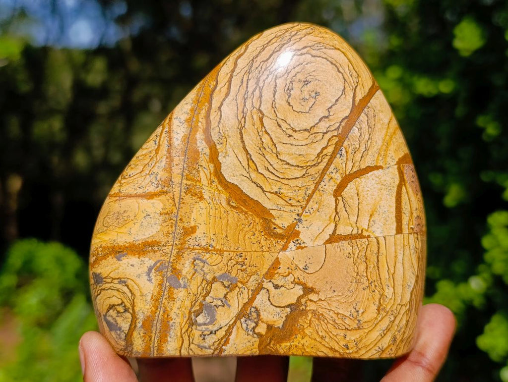 Polished Picture Stone Jasper Standing Display Pieces x 2 From Ais-Ais, Namibia - Toprock Gemstones and Minerals 