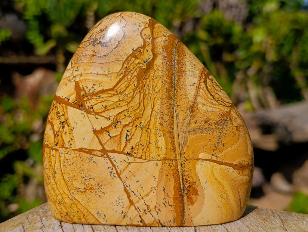 Polished Picture Stone Jasper Standing Display Pieces x 2 From Ais-Ais, Namibia - Toprock Gemstones and Minerals 