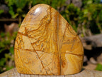 Polished Picture Stone Jasper Standing Display Pieces x 2 From Ais-Ais, Namibia - Toprock Gemstones and Minerals 