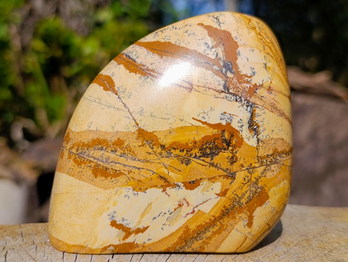 Polished Picture Stone Jasper Standing Display Pieces x 2 From Ais-Ais, Namibia - Toprock Gemstones and Minerals 