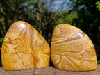 Polished Picture Stone Jasper Standing Display Pieces x 2 From Ais-Ais, Namibia - Toprock Gemstones and Minerals 