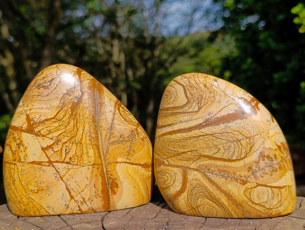 Polished Picture Stone Jasper Standing Display Pieces x 2 From Ais-Ais, Namibia - Toprock Gemstones and Minerals 