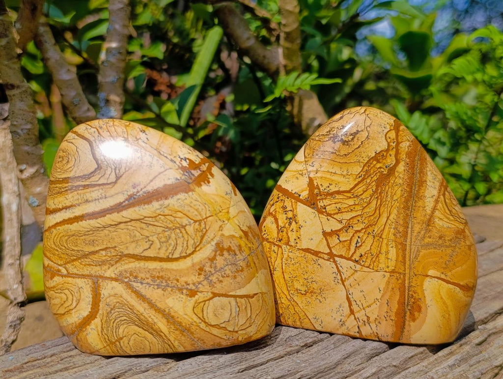 Polished Picture Stone Jasper Standing Display Pieces x 2 From Ais-Ais, Namibia - Toprock Gemstones and Minerals 
