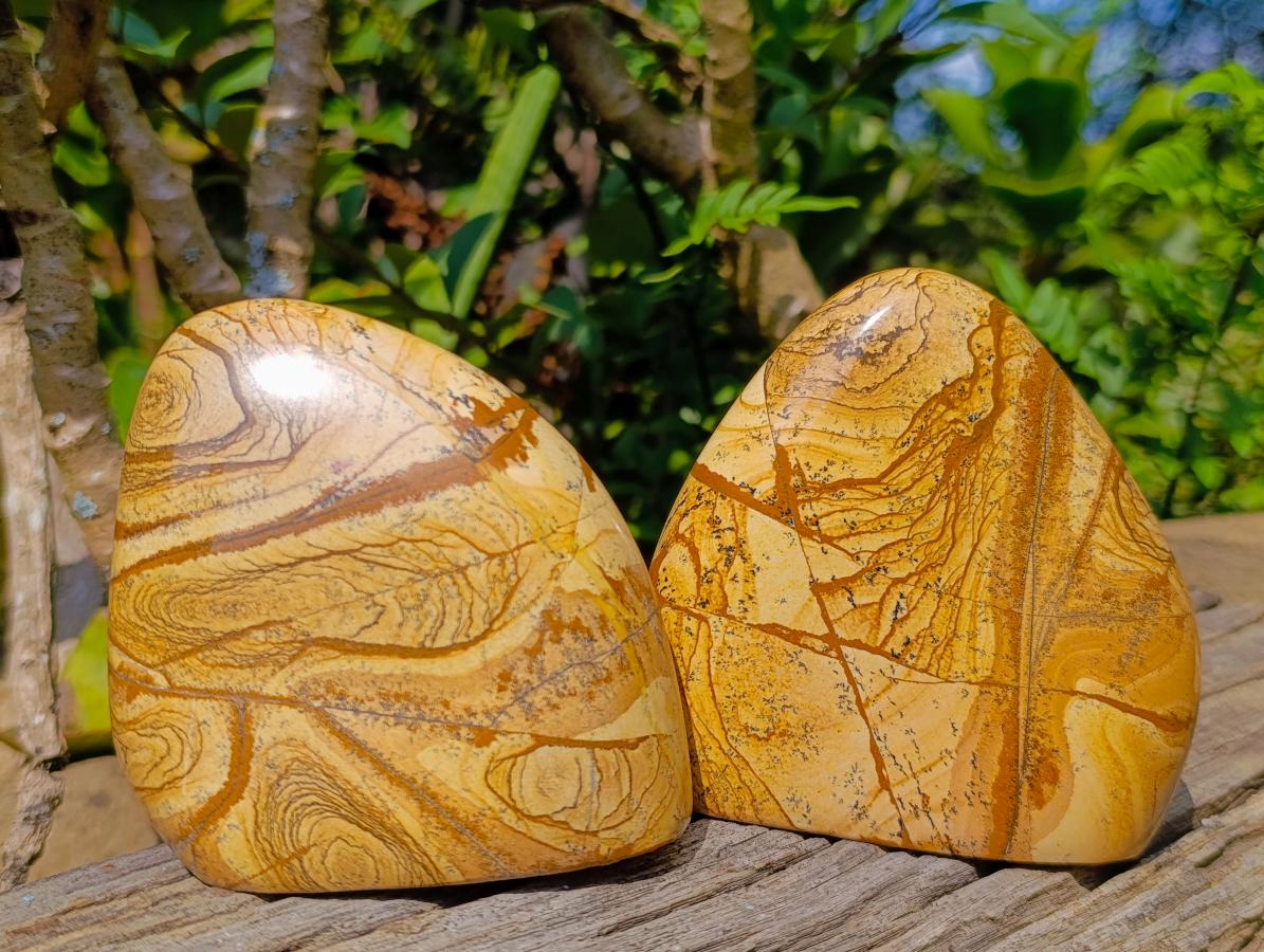 Polished Picture Stone Jasper Standing Display Pieces x 2 From Ais-Ais, Namibia - Toprock Gemstones and Minerals 