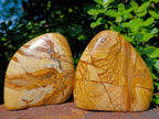 Polished Picture Stone Jasper Standing Display Pieces x 2 From Ais-Ais, Namibia - Toprock Gemstones and Minerals 