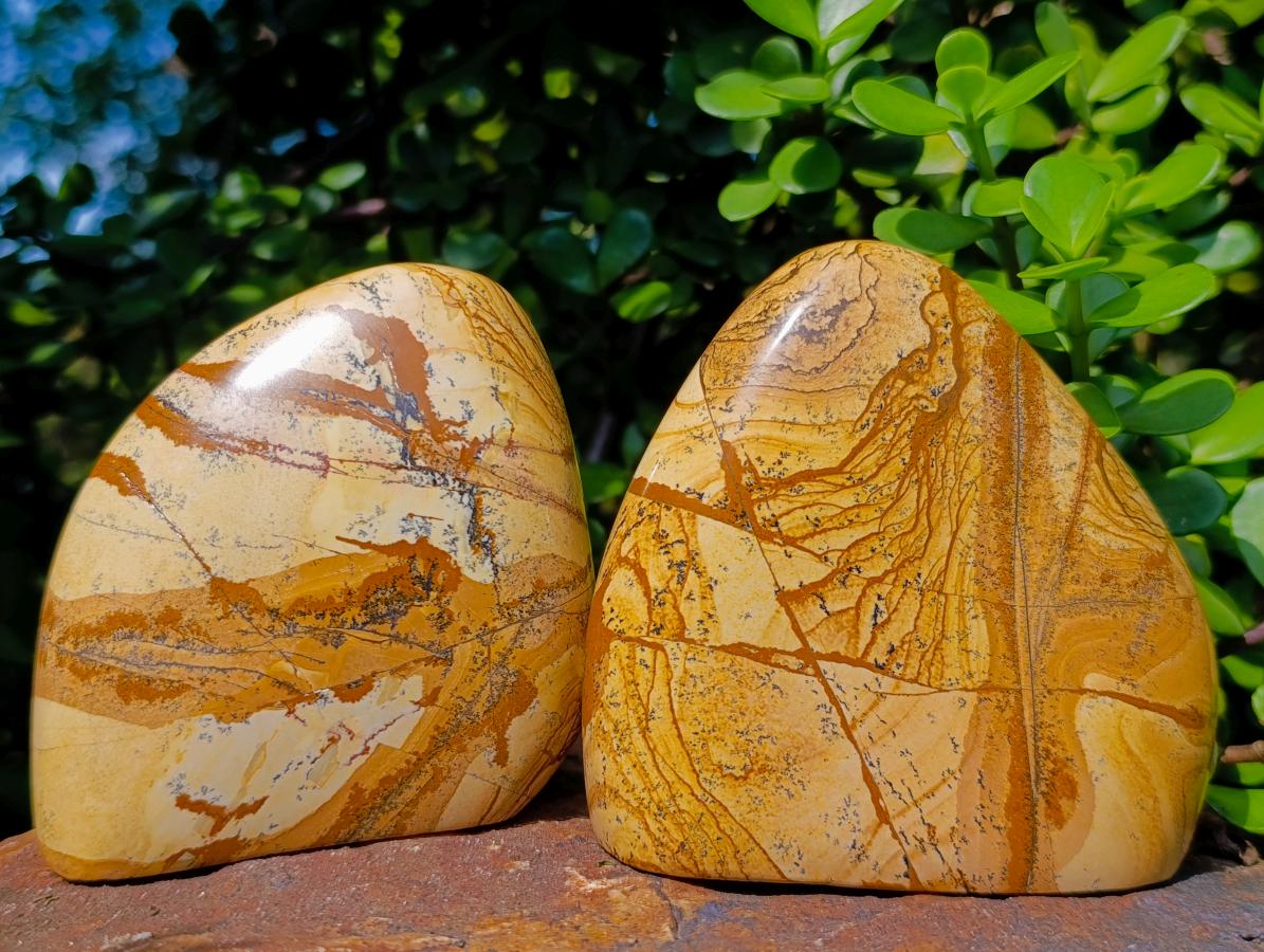 Polished Picture Stone Jasper Standing Display Pieces x 2 From Ais-Ais, Namibia - Toprock Gemstones and Minerals 