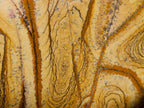 Polished Picture Stone Jasper Standing Display Pieces x 2 From Ais-Ais, Namibia - Toprock Gemstones and Minerals 