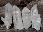 Natural Mpika Quarts Crystals x 35 From Mpika, Zambia - Toprock Gemstones and Minerals 