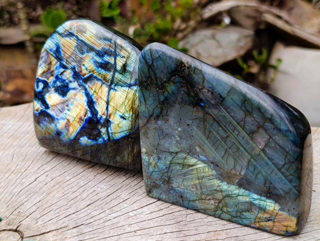Polished Labradorite Standing Free Forms x 2 From Madagascar - Toprock Gemstones and Minerals 