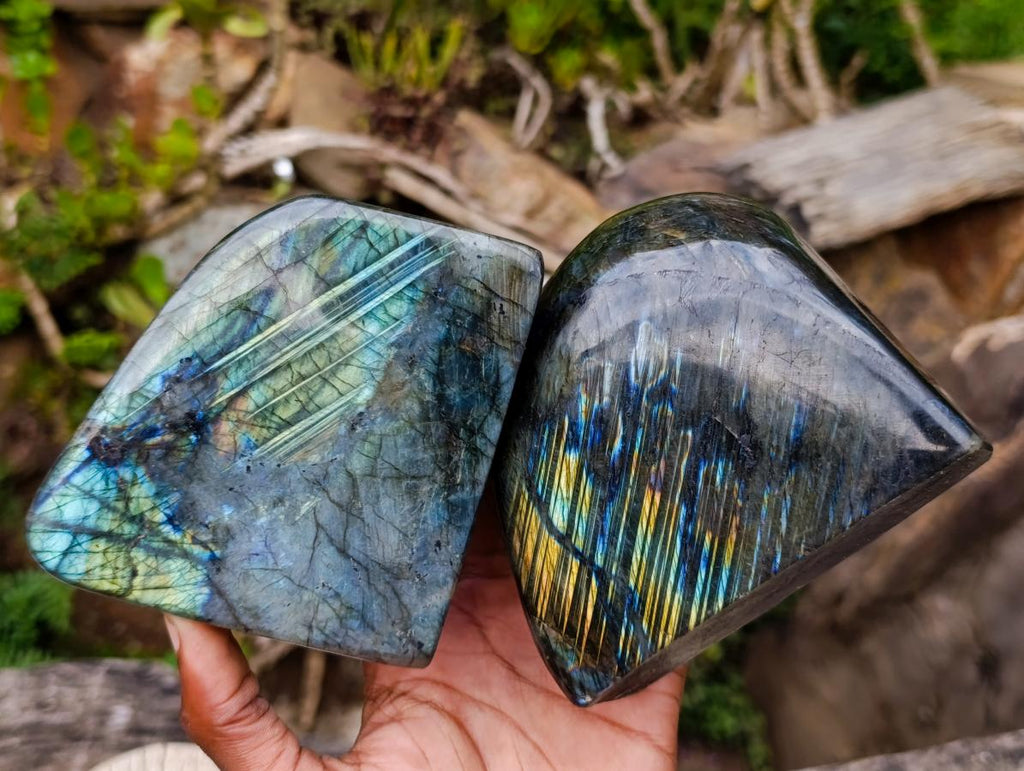 Polished Labradorite Standing Free Forms x 2 From Madagascar - Toprock Gemstones and Minerals 
