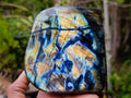 Polished Labradorite Standing Free Forms x 2 From Madagascar - Toprock Gemstones and Minerals 