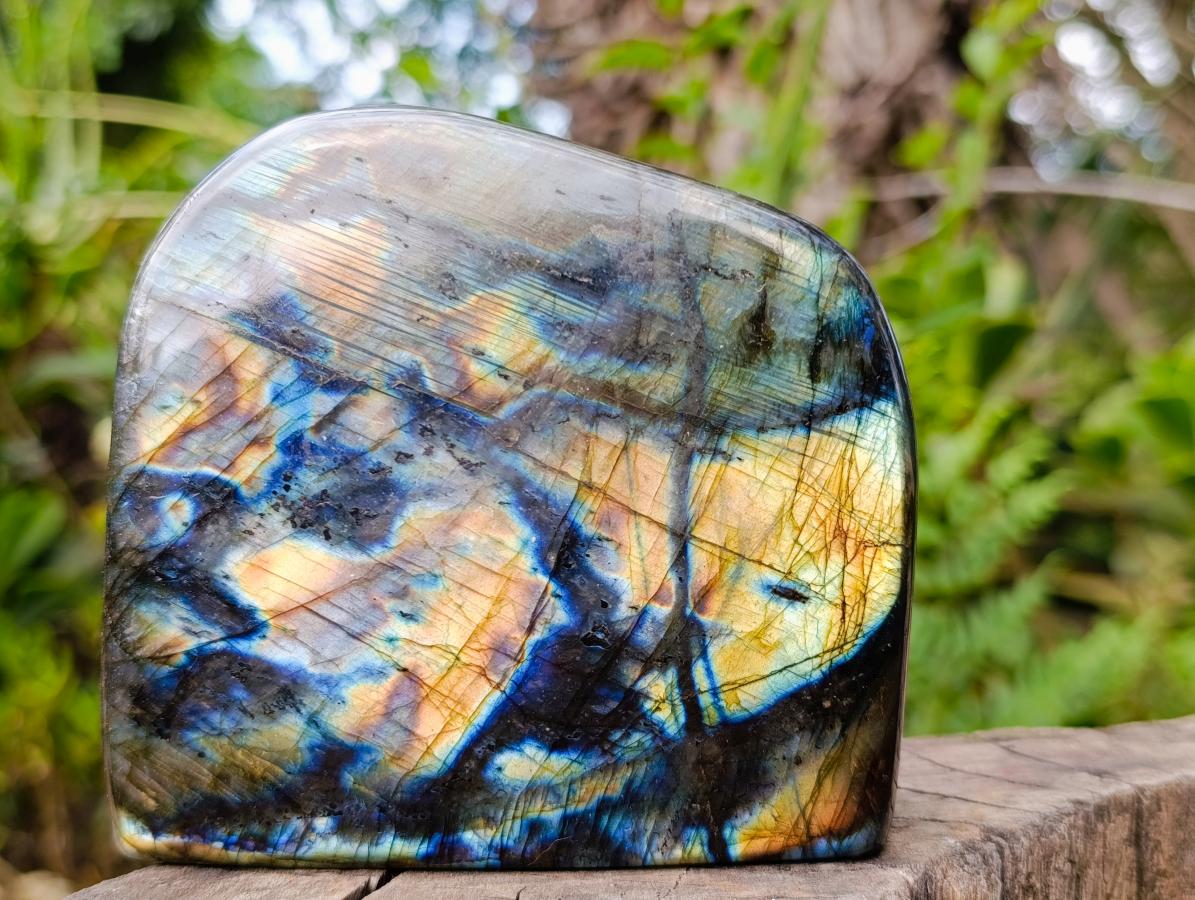 Polished Labradorite Standing Free Forms x 2 From Madagascar - Toprock Gemstones and Minerals 