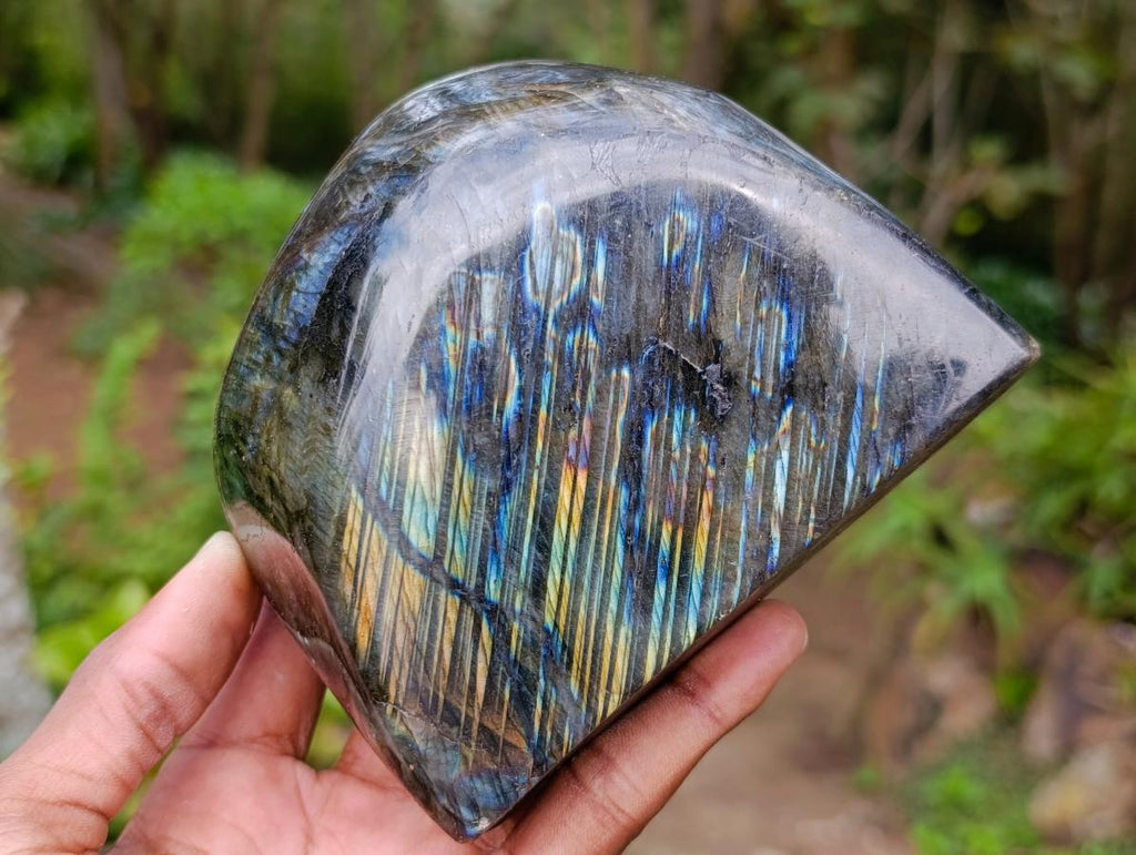 Polished Labradorite Standing Free Forms x 2 From Madagascar - Toprock Gemstones and Minerals 