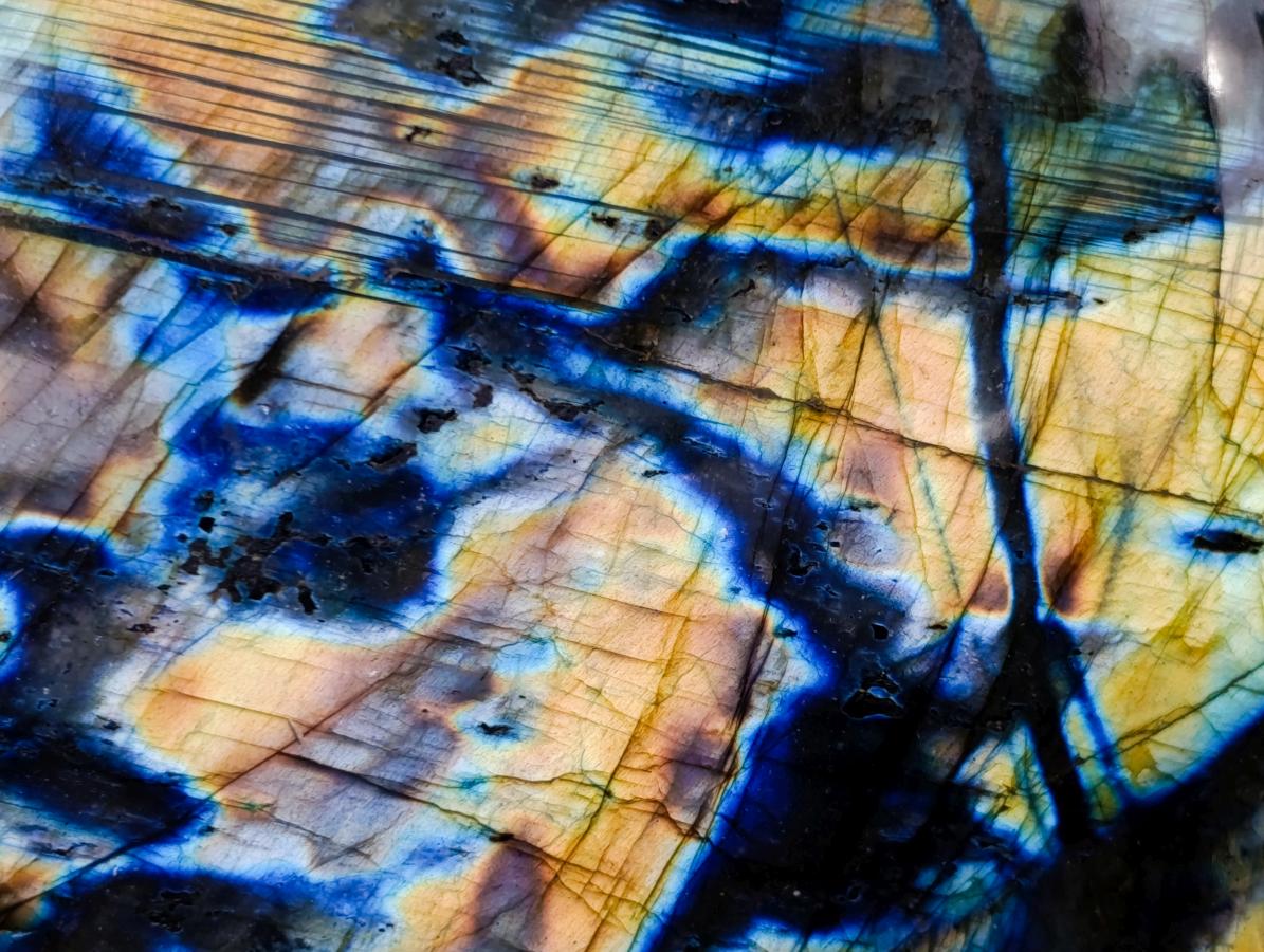 Polished Labradorite Standing Free Forms x 2 From Madagascar - Toprock Gemstones and Minerals 