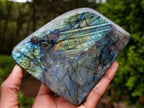 Polished Labradorite Standing Free Forms x 2 From Madagascar - Toprock Gemstones and Minerals 