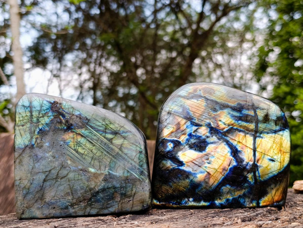 Polished Labradorite Standing Free Forms x 2 From Madagascar - Toprock Gemstones and Minerals 