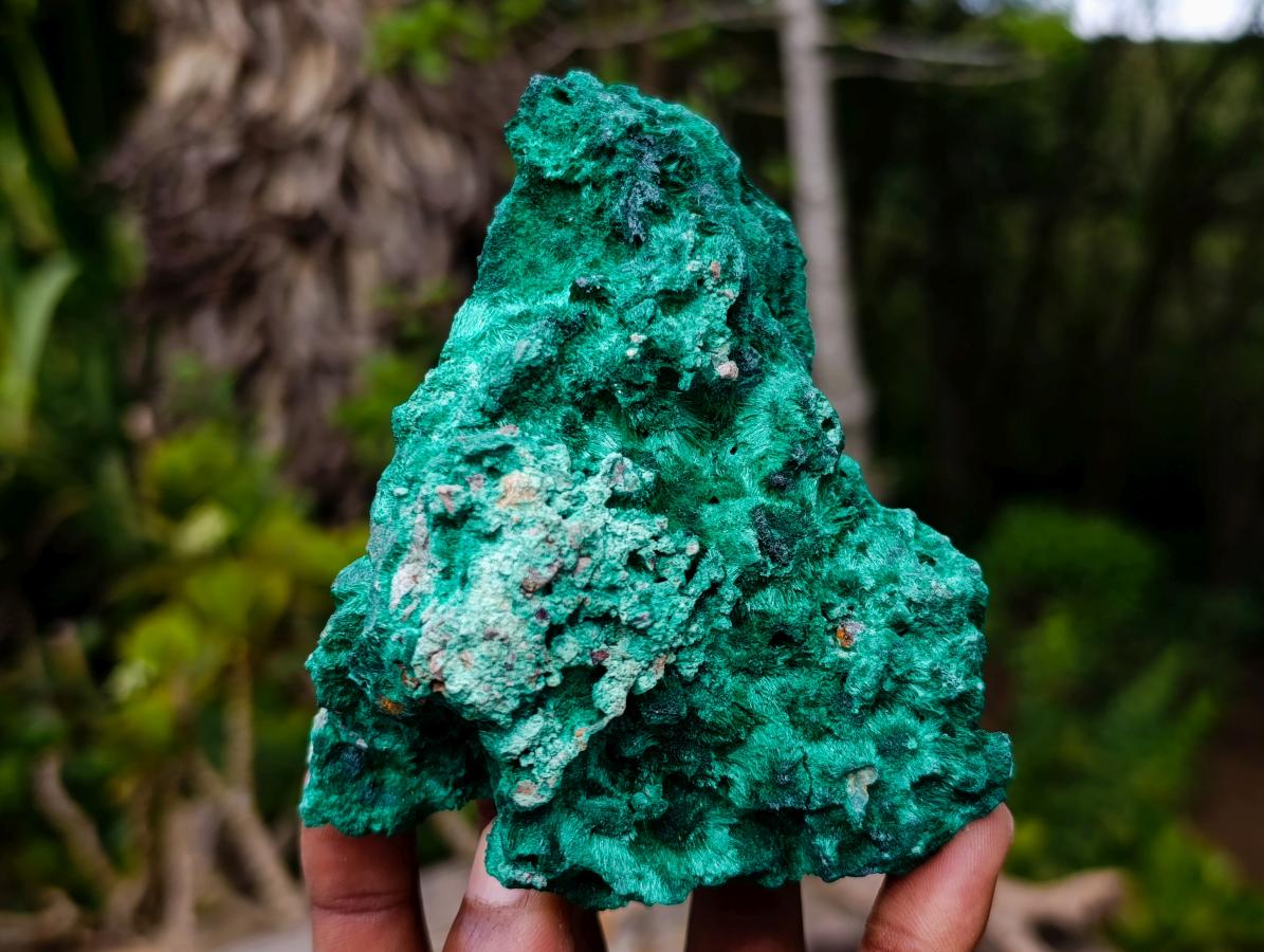 Natural Silky Malachite Specimens x 3 From Kasompe, Congo - Toprock Gemstones and Minerals 
