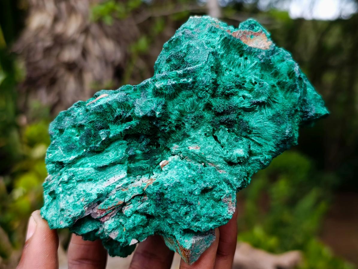 Natural Silky Malachite Specimens x 3 From Kasompe, Congo - Toprock Gemstones and Minerals 