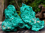 Natural Silky Malachite Specimens x 3 From Kasompe, Congo - Toprock Gemstones and Minerals 