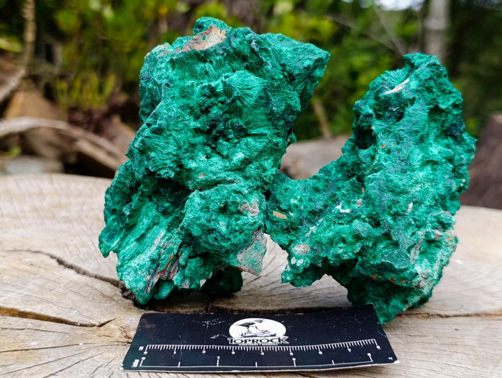 Natural Silky Malachite Specimens x 3 From Kasompe, Congo - Toprock Gemstones and Minerals 