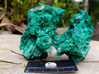 Natural Silky Malachite Specimens x 3 From Kasompe, Congo - Toprock Gemstones and Minerals 