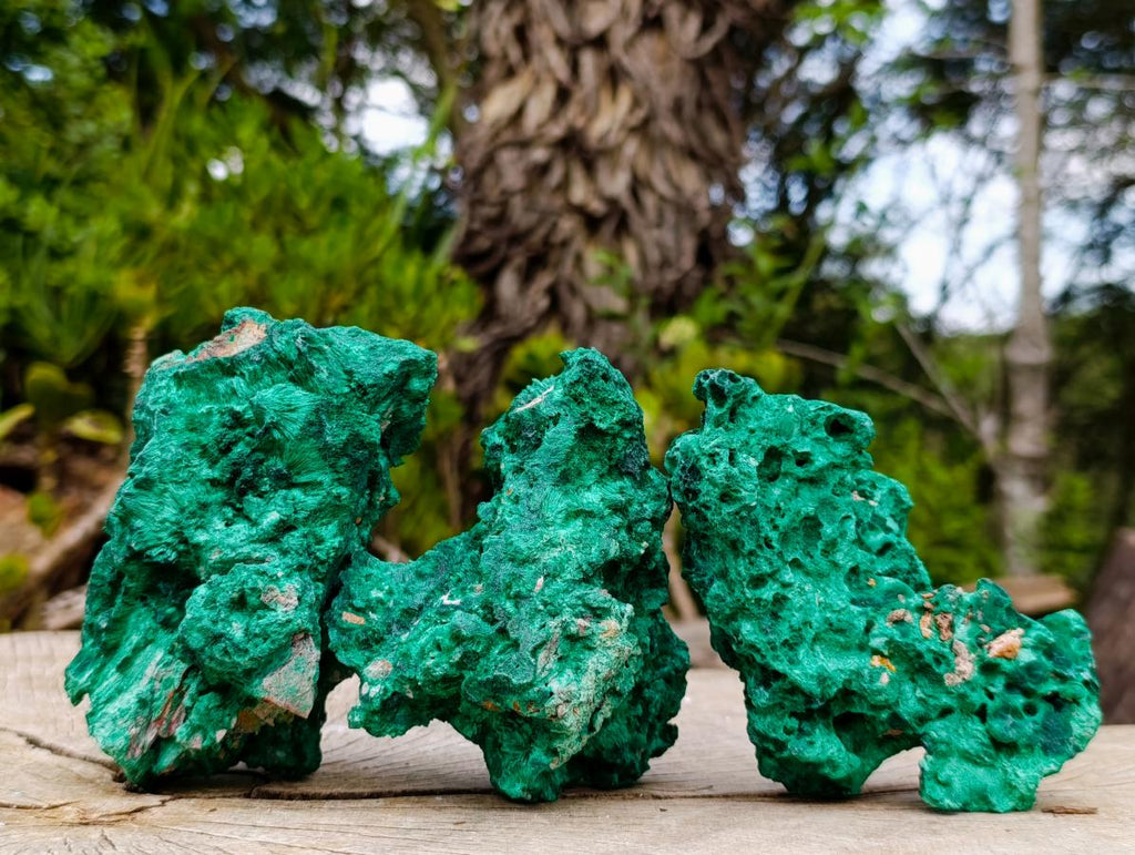 Natural Silky Malachite Specimens x 3 From Kasompe, Congo - Toprock Gemstones and Minerals 