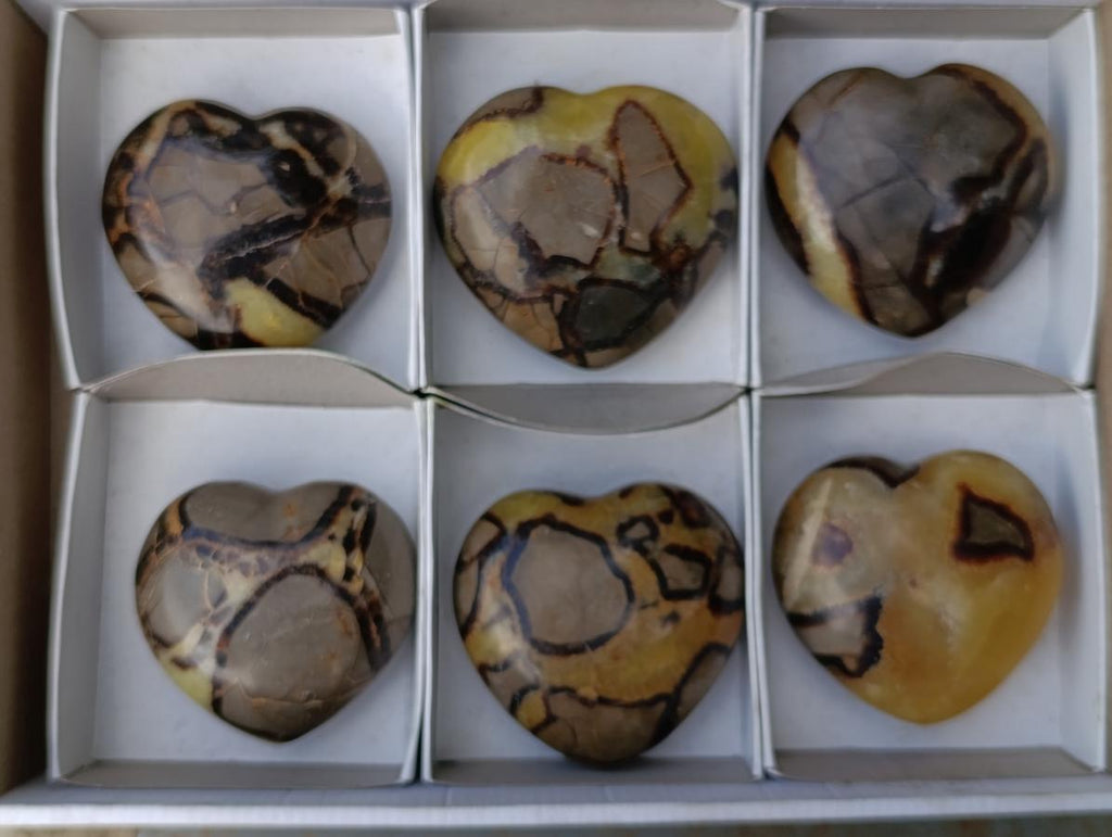 Polished Septerye Hearts x 6 From Mahajanga, Madagascar - Toprock Gemstones and Minerals 
