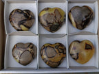 Polished Septerye Hearts x 6 From Mahajanga, Madagascar - Toprock Gemstones and Minerals 
