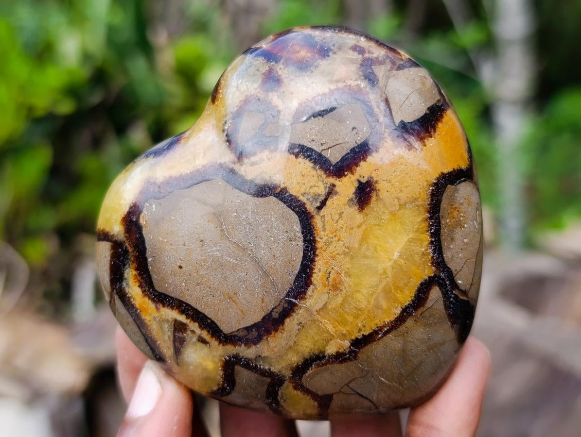 Polished Septerye Hearts x 6 From Mahajanga, Madagascar - Toprock Gemstones and Minerals 