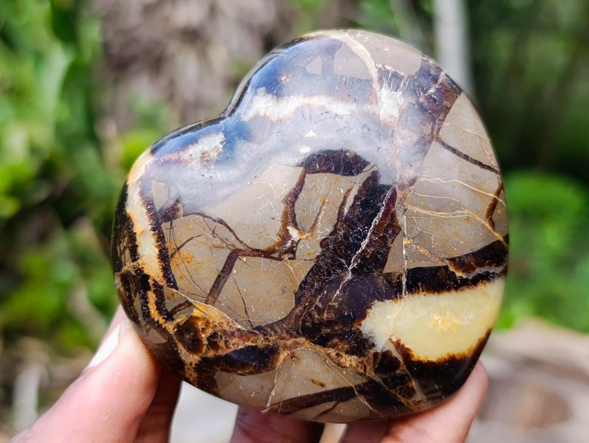 Polished Septerye Hearts x 6 From Mahajanga, Madagascar - Toprock Gemstones and Minerals 