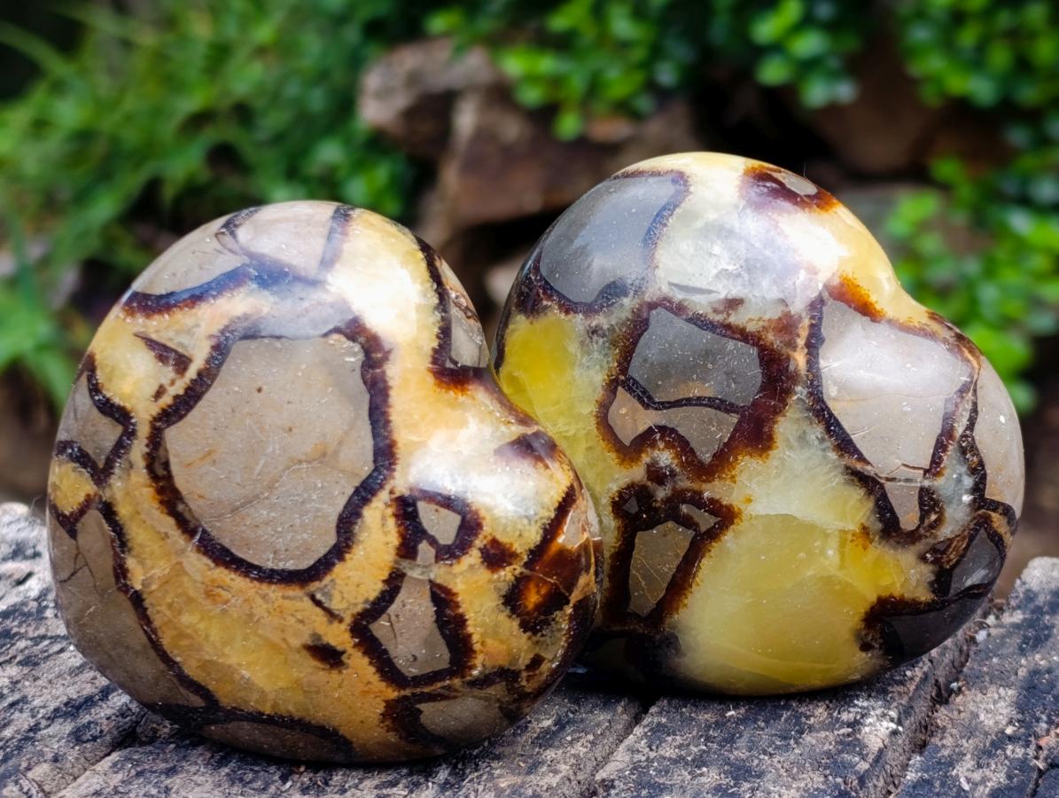 Polished Septerye Hearts x 6 From Mahajanga, Madagascar - Toprock Gemstones and Minerals 