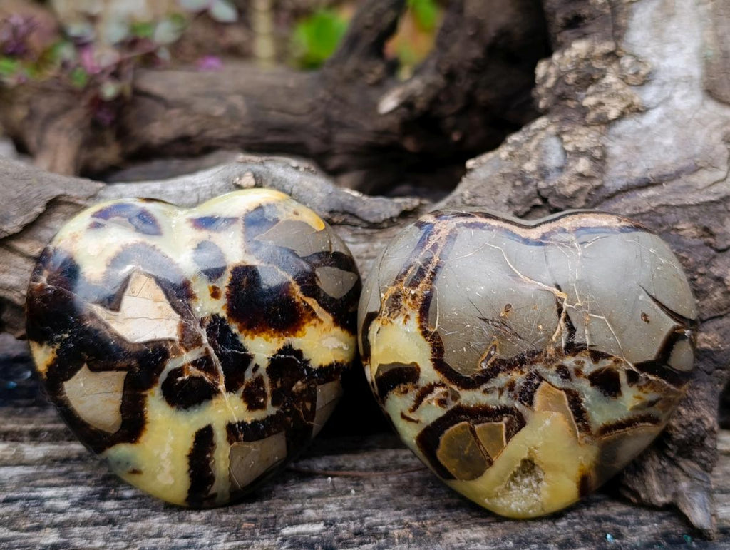 Polished Septerye Hearts x 6 From Mahajanga, Madagascar - Toprock Gemstones and Minerals 