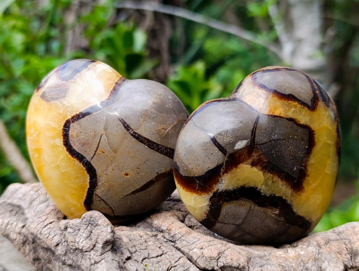 Polished Septerye Hearts x 6 From Mahajanga, Madagascar - Toprock Gemstones and Minerals 