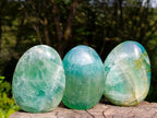 Polished Green Fluorite Standing Display Pieces x 3 From Madagascar - Toprock Gemstones and Minerals 