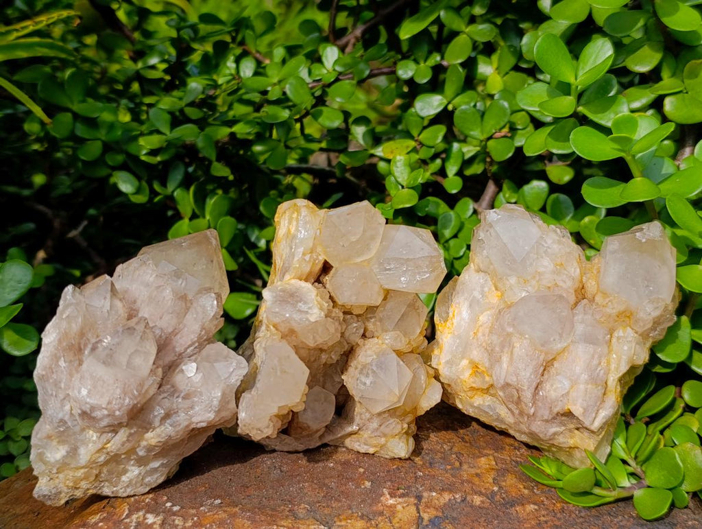 Natural Cascading White Phantom Smokey Luena Quartz Clusters x 3 From Luena, Congo - Toprock Gemstones and Minerals 