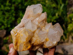 Natural Cascading White Phantom Smokey Luena Quartz Clusters x 3 From Luena, Congo - Toprock Gemstones and Minerals 