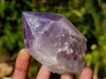 Natural Jacaranda Amethyst Single Crystals x 12 From Mumbwa, Zambia - Toprock Gemstones and Minerals 